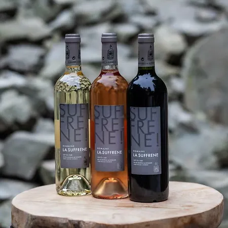 Chaloupka, Ktera Existuje Villa