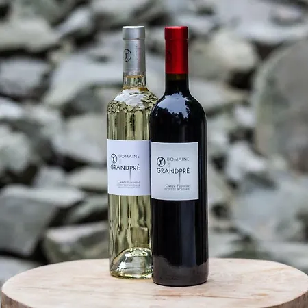 וילה Chaloupka, Ktera Existuje